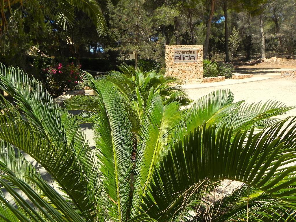 Viviendas Turísticas Vacacionales Allida Playa Migjorn Exterior foto